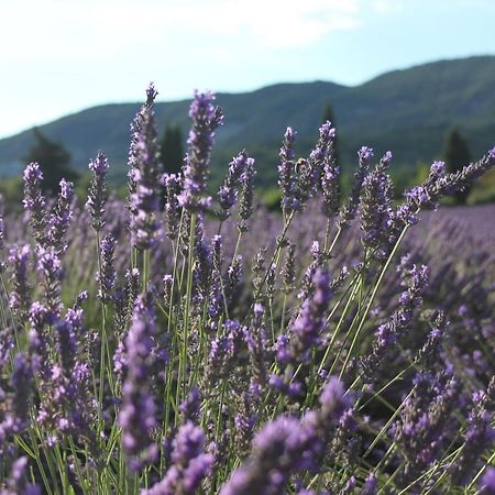 Gites Les Costoliers Châteauneuf-Miravail Dış mekan fotoğraf