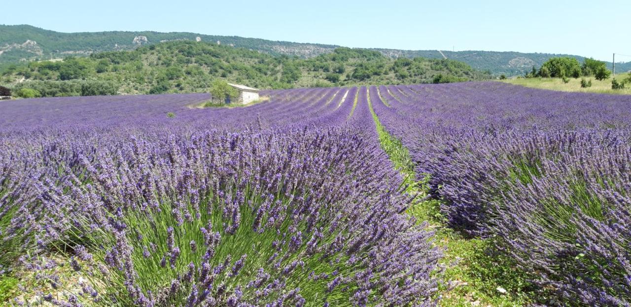 Gites Les Costoliers Châteauneuf-Miravail Dış mekan fotoğraf
