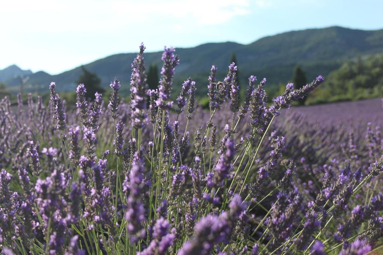 Gites Les Costoliers Châteauneuf-Miravail Dış mekan fotoğraf